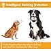 Mechance Dog Bark Collar, Automatic Dog Barking Control Devices-No Bark Collar, Barking Collar, Anti Bark Collar - Adjustable Dog Training Collar Fits Small Medium Large Dog (Black)