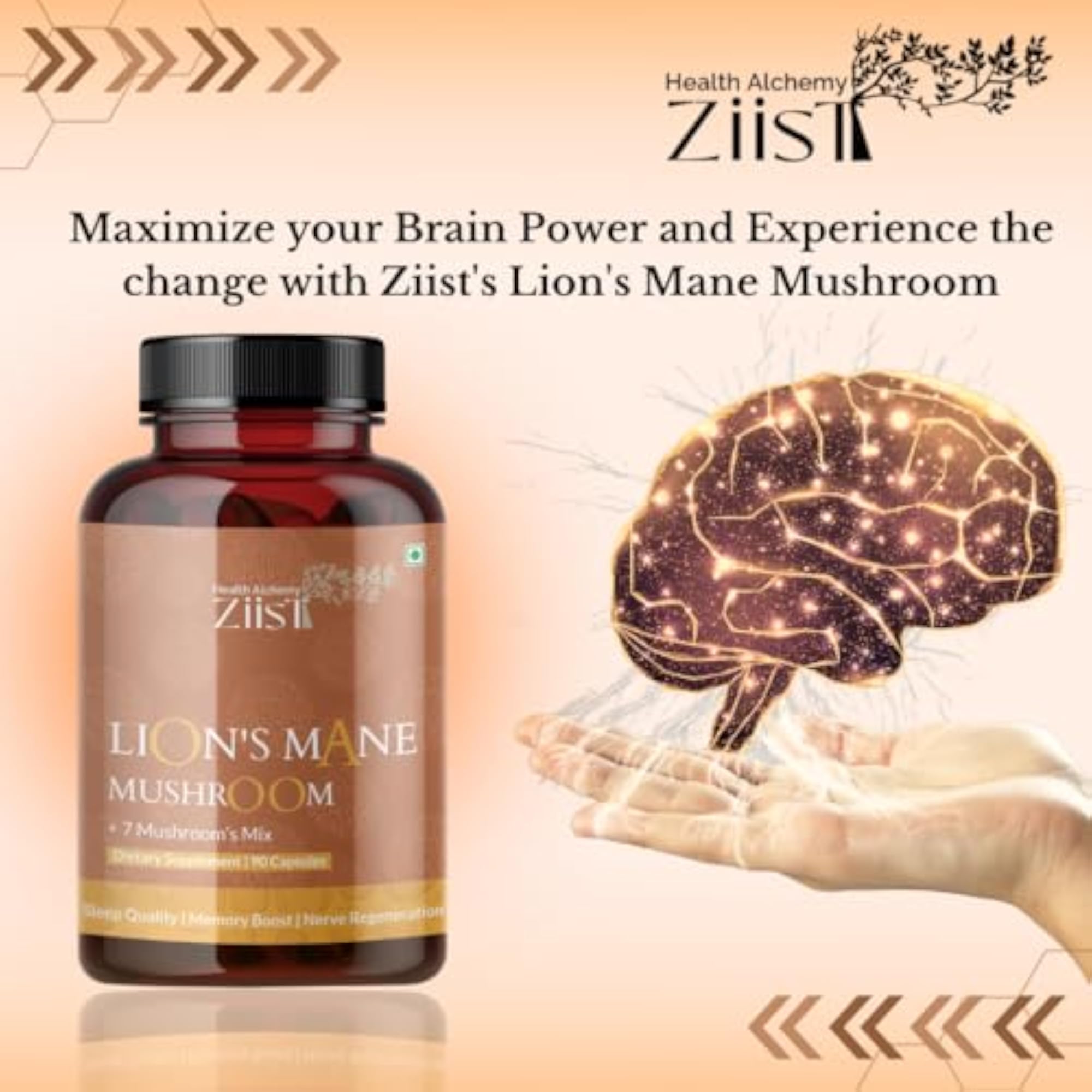Lion's Mane Mushroom Dietary Supplement, 90 Capsules