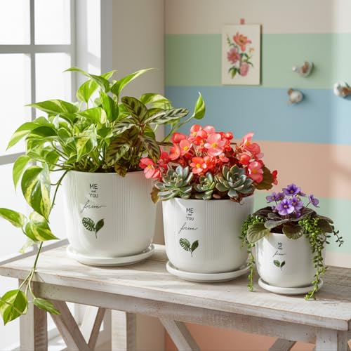 Image of Xtore Triliora Ceramic Planter Set with Trays | Botanical Print Flower Pots for Home, Office & Living Room Decor - (Set of 3, White)