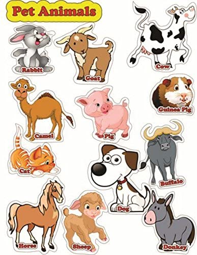 Embell Products Wooden Printed Magnetic Cutouts with Names for Early Learners (Wild Animals) (Pet Animals) (B0BTW6XTJ9) Amazon Price History, Amazon Price Tracker