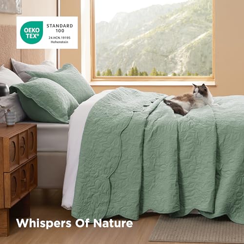 Image of Bedsure Quilts Queen Size - Ultra Soft Pre-Washed Cloud-Like Bedding, All-Season Lightweight Comforter for Country Bedroom, Leaf Design Coverlet in Sage Green, 90 x 96 Inches