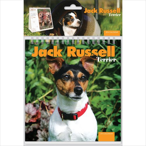Amazon Jack Russell Easel Desk Calendar Dogs