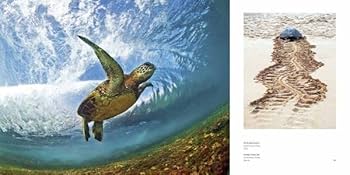 クラークリトル　海・波　【絵と額セット】 クラークリトル 海・波 【絵と額セット】 クラークリトル 海・波