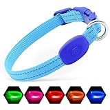Illumifun 犬用 LED光る首輪 充電式 - 超軽量設計 防水|小型犬専用 夜間散歩の安全性 視認500m|調節可能 ペット用品 (ブルー, XS)