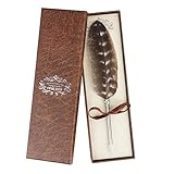 IWILCS Feder Kugelschreiber, Feather Pen Kugelschreiber Stift Metall Füllfederhalter Modischer Kugelschreiber Eulenfedern, für Schule Schreiben Briefpapier, Geschenk