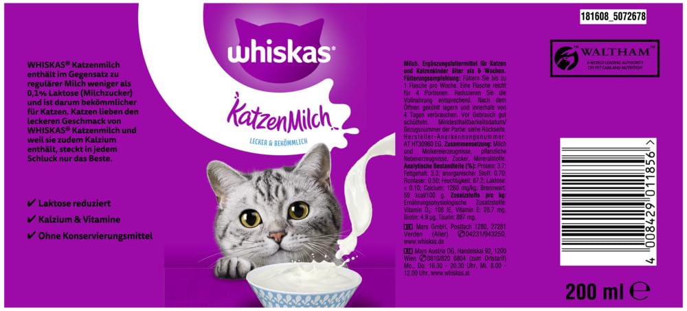 Restoranda porno, ofitsiant mehmonlarga xizmat qildi. Oyoqlar porno rasmlar video emas