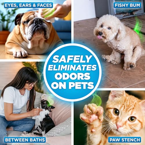 Image of POOPH Pure Wipes - 100 Count Pack - Gentle, Fast Odor Elimination - No Fragrances, No Harsh Chemicals - Cleans Paws, Butt, Ears, Face, Fur - Perfect for Cars, Crates, All Surfaces