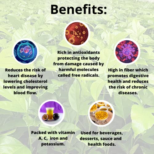 Passion Fruit (Maracuya) "Possum Purple" Set Of 4 Starter Live Plants #TOP5