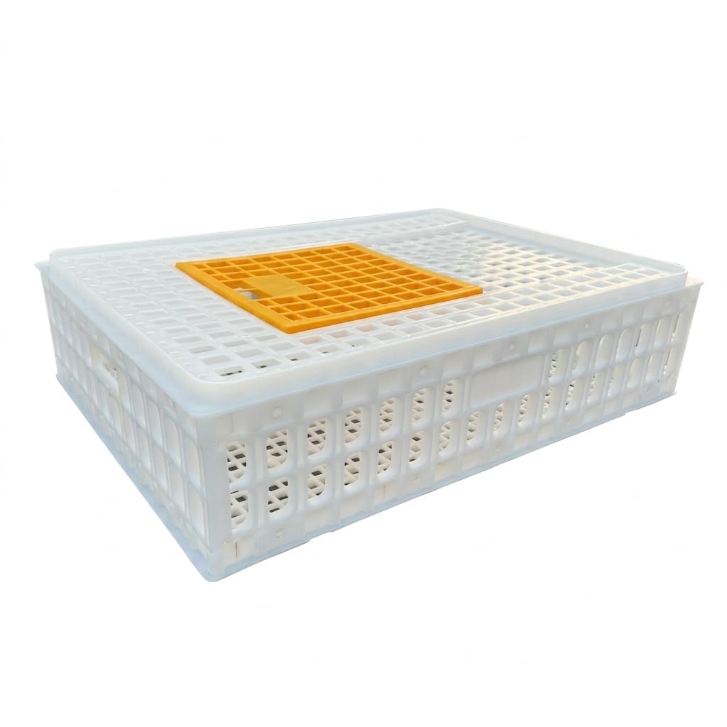 Transportín Plástico Anti-Caída y Anti-Presión para Gallinas, Conejos, s y Codornices, Blanco