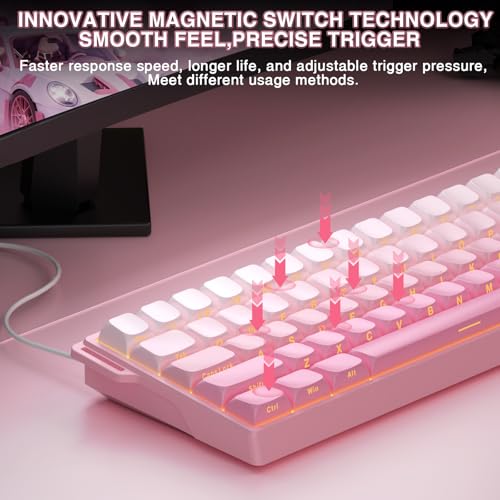 Image of Aula WIN60 HE - 60% Mechanical Gaming Keyboard Wired, Hall Effect Magnetic Switch Hot Swappable,8000 Hz Polling Rate, RGB Keyboard 60 Percent Compact Design for PC (Gradient Pink)