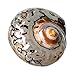 Hermit Crab Shells | Turbo Shells | African Sarmaticus Turbo Shell 2.5