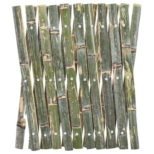 Garneck Lk|K[ftFX \ȑpeBX Xy[XΉpeBI oRj[ ؉ Rfނ̑ϋv|͂