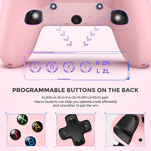 Manette ECHTPower