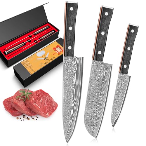 BILLION DUO Damascus Knife Set 3PCS, Chef Knife Set 67 Layer Damascus Steel, 12.3-20.5 cm Sharp Blade, Kitchen Knives Sets with Ergonomic Handle for Home Kitchen & Restaurant