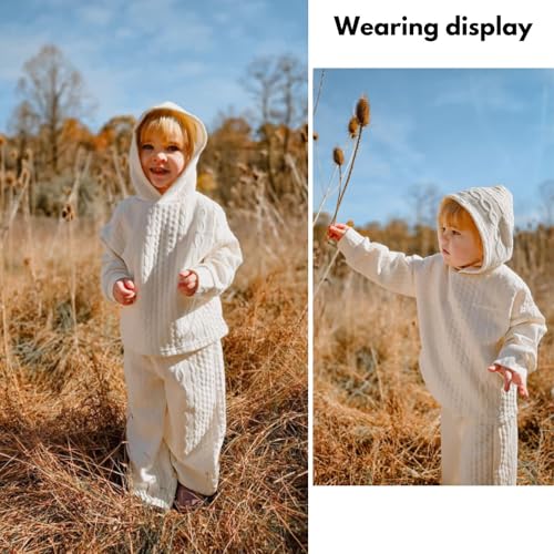 Image of fioukiay Toddler Girls Casual Sweatsuit Pullover Hoodie Sweatpants Outfits