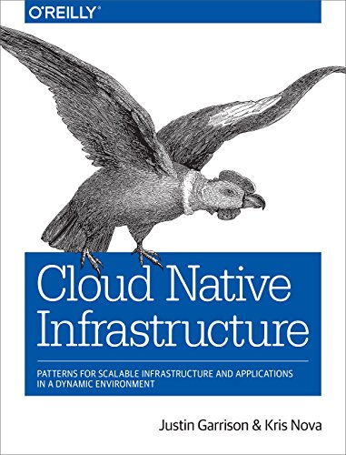 Cloud Native Infrastructure: Patterns for Scalable Infrastructure and Applications in a Dynamic Environment (English Edition) Cloud Native Infrastructure: Patterns for Scalable Infrastructure and Applications in a Dynamic Environment (English Edition)