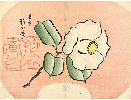 Fine Art Prints White Camellia 1830s Yamada Hogyoku Canvas Premium Wall Decor Poster Mural