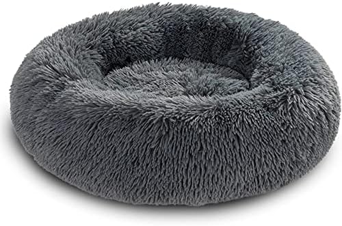 king dog bed