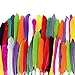 Produktbild ewtshop® 250 Naturfedern, 10, Federn zum Basteln und zur Dekoration, Länge 10-15 cm