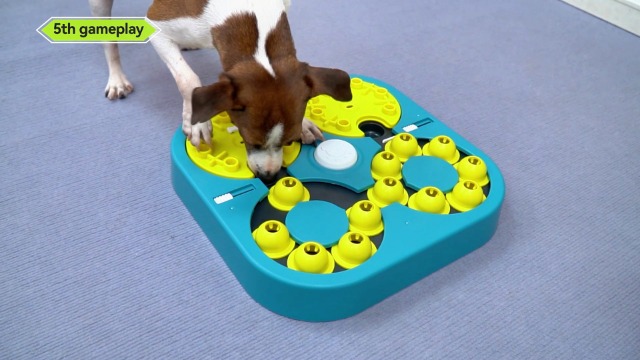 What are the Best Dog Puzzle Toys And Games: Top Picks for Fun & Brain Boost