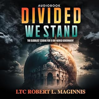Divided We Stand Audiolibro Por Col. Robert Lee Maginnis arte de portada