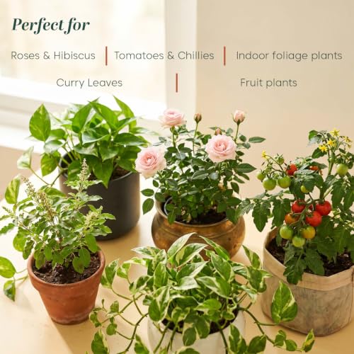 Image of Kyari Neem Oil for Plants 250 ml - Cold-Pressed Organic Neem Oil Spray Concentrate, Natural Pesticide for Plants - Plant Protection Spray for Insects & Mites - 100% Natural