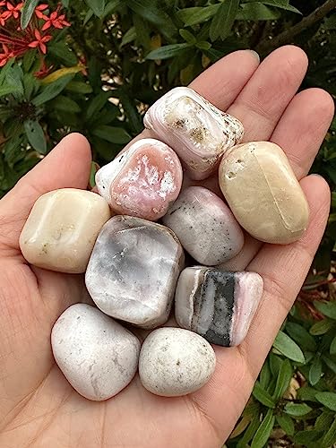 Image of GAF TREASURES 1 /2 LB Pink Opal Tumbled Stones, Polished Pink Opal Gemstone, Pink Opal Healing Crystals (Pink Opal)