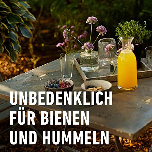 COMPO Wespen-Falle, Natürlicher Inhaltsstoff, Insektizidfrei, Bis zu 3 Wochen Langzeitwirkung, Wiederbefüllbar, Wespenspray