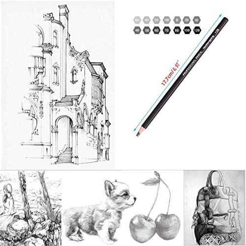 Heshengping, Drawing Sketch Pencil Set 14Pcs Sketching Pencils 12B 10B 8B 7B 6B 5B 4B 3B 2B B Hb 2H 4H 6H Graphite Pencils For Kid Adults Artists Student Beginners Professional #TOP5