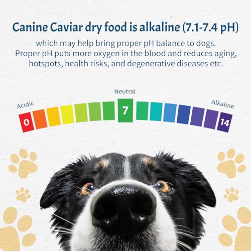 Canine Caviar - Open Meadow: Lamb & Pearl Millet Alkaline Dry Dog Food, Limited Ingredients, Gluten-Free, Based on Science & Research, Veterinary Alternative Diet (4.4 Pound Bag)