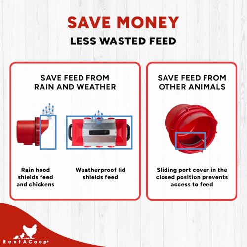 RentACoop Flock Feeder 15 Metal Chick2Chicken Feeder – Space-Saving Weatherproof Poultry Feeder with 6 Ports, Adjustable Legs, Rain Covers for Chicks, Chickens, Quail, Bantams, and Other Small Birds