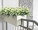 Artificial Flowers Outdoor Fake Plants Faux Shrubs Calla Lily Plastic Greenery UV Resistant Window Box 4 Pcs Wholesale Arrangement for Garden Home Kitchen Dining Room Hanging Planter Cream