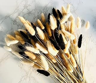 Bunny Tails Pampas Grass Dried Flowers Bouquet 60 stems - 20 White Bunny Tails, 20 Natural Bunny Tail Grass, 20 Black Bunny Tails, Boho Decor Small Pampass Grass Dried Flowers For Cakes Vase Plant