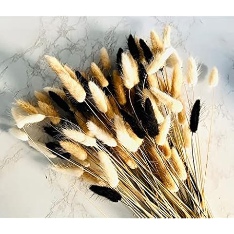 Bunny Tails Pampas Grass Dried Flowers Bouquet 60 stems - 20 White Bunny Tails, 20 Natural Bunny Tail Grass, 20 Black Bunny Tails, Boho Decor Small Pampass Grass Dried Flowers For Cakes Vase Plant Cover