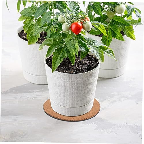 Coussinets de pots de fleurs en liège pour une déco verte de salon