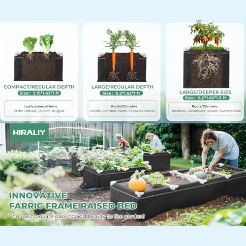 Contenedor de jardín elevado con marco para zanahorias y patatas 3