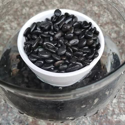Xxyxxy 3Lbs Black Rock Pebbles For Planters, Aquariums Natural Decorative Polished Stones For Plant Decorations Succulent River Rock Aquarium Gravel (0.3-0.6Cm/0.7-0.23In) #TOP5