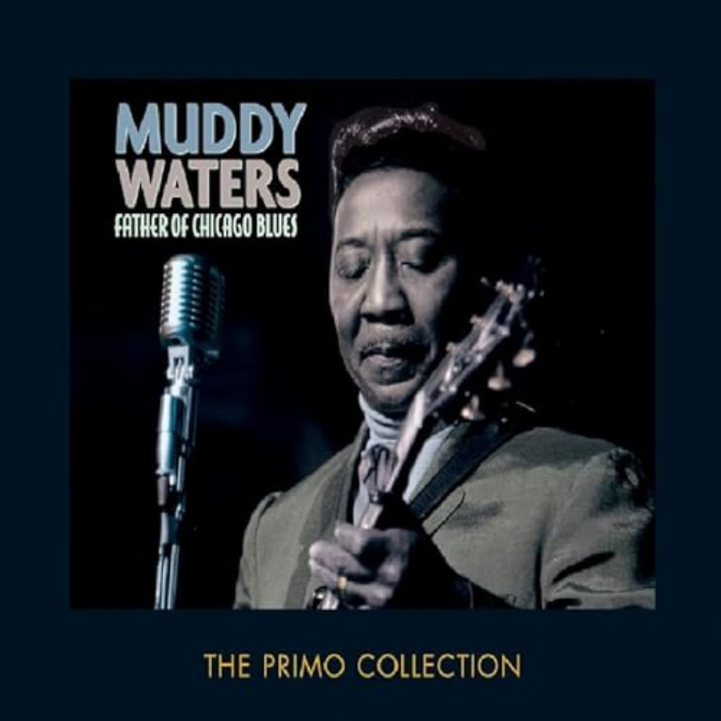 Muddy Waters Father of Chicago Blues Double CD NEW