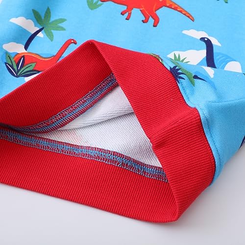 Boys Sweatshirts Long Sleeve Sweatshirts T-shirts Crew Neck Cotton Casual Sweatshirts Cartoon Tops for Boys-2534