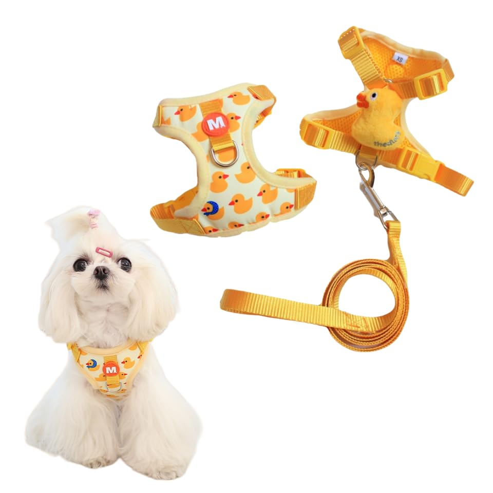 Hundegeschirr Mit Leine – Vierpunkt-verstellbar, Weiches Netzgewebe, 152 Cm Leine, Elefanten-Motiv