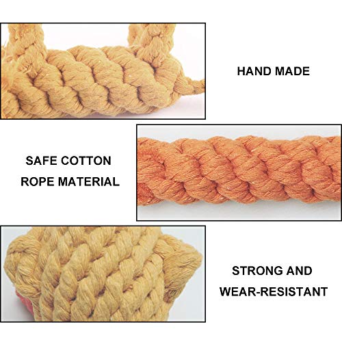 Andiker Dog Chewing Toys - 3Pcs Cotton Rope Puppy Teething Cleaning And Training Durable Dog Plush Toys Lion&Carrot&Duck Toy For Boredom And Interactive Biting Rope Dog Chew Toys thumb #1
