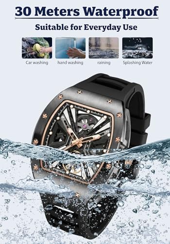 Image of ALIX AL2929 Skeleton Dial Men's Stainless Steel Case Automatic Mechanical Wristwatches 30M Waterproof Watches