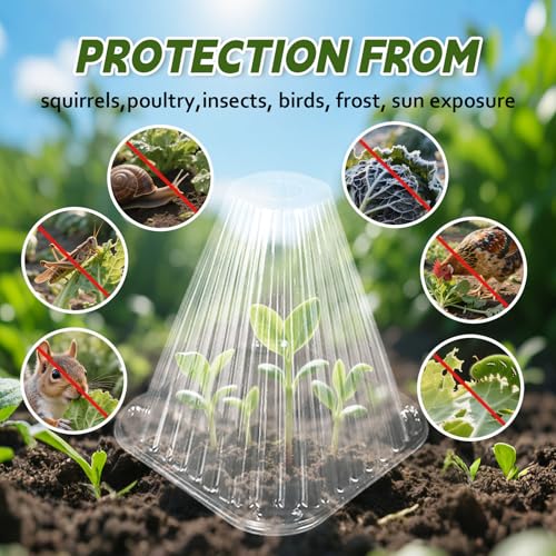100pcs Gardening Greenhouse Plant Covers Transparent Garden Cloches for Plants, 2025 Upgraded Reusable Bell Plant Cover Plastic Small Plant Seedling Protector Bell Jar Cloches (100) by MGARDENMYI - Image 2