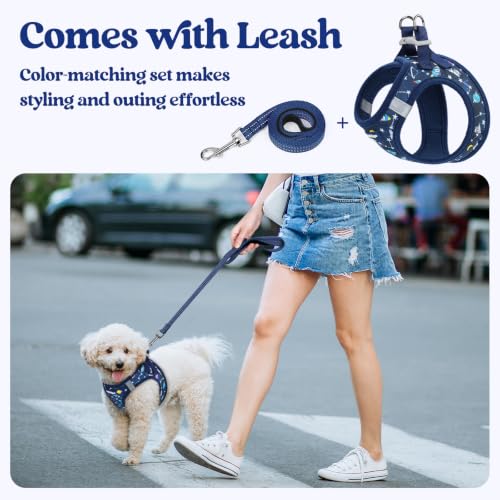 Image of rabbitgoo Dog Harness Small Sized and Leash Set, Step-in Puppy Pet Vest