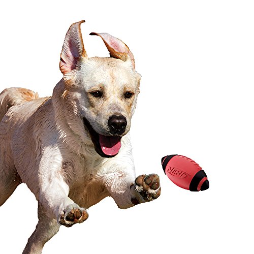 Nerf Dog Rubber Football Dog Toy with Interactive Squeaker, Lightweight, Durable and Water Resistant, 5 Inch Diameter… - Image 6