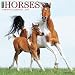 Just Horses 2017 Wall Calendar