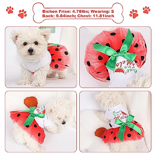 Dog Clothes For Small Dogs Girl,Dog Dress Shirt Puppy Dog Clothes For Small Dogs Girl,Dog Tulle Dress,Summer Dog Clothes For Small Dogs Girl,Dog Birthday Dresses Cat Dress #TOP3