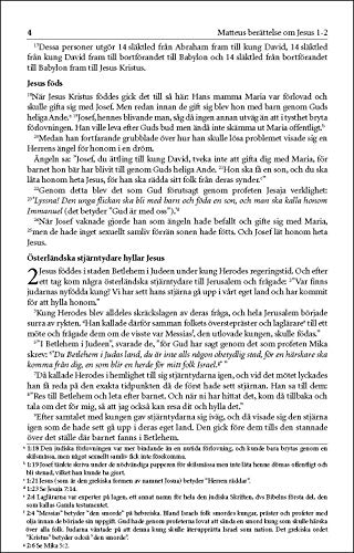 Swedish New Testament-FL: Nya Testamentet