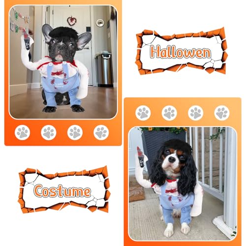 Halloween-Kostüm für Hunde, lustiges kuckiges Hundekostüm, Outfit mit Messer-Perücke, Hundepool-Kleidung, Cosplay, für kleine, mittelgroße und große Katzen und Hunde, Welpen, Wurst, Mops, Französische