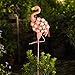 Homeimpro Garden Solar Lights Flamingo Decor Gifts for Women Yard Outdoor Decorations Stake Lights, Waterproof Warm White 27 LED for Lawn,Patio, Courtyard, for Mom Grandma
